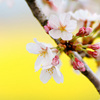 ձѻҲJ(rn)ǹ֮סĵطv߀Ƶĕrѻ_ҕ_ʼr(nng)I(y)a(chn)ָ(bio)...