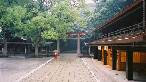 明治神宮是日本神道的重要神社,位于澀谷區(qū)原宿一帶的代代木公園北側(cè),占地70公頃,是東京市中心除皇居外最大的一塊綠地。
每年都有很多人來此參拜祈福,舉行成人禮、婚禮等儀式,可以祈福許愿、感受日本神道文化。
五月中旬菖蒲園中盛開各種菖蒲,是神宮的一大名景。