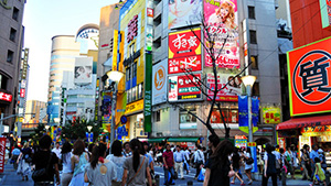 池袋是東京市中心與北邊各鄉(xiāng)鎮(zhèn)縣市的往來窗口,擁有東、西武百貨,三越百貨、丸內(nèi)百貨和PARCO等,東武百貨附近的商圈旁還有立教大學(xué),古典的校園建筑頗為美麗,是多部日劇的拍攝地點。加之出版于1997年,描寫年輕幫派械斗的小說《池袋西口公園》的熱銷,將池袋的人氣指數(shù)推上頂點對游客來說是個吃喝玩樂集于一體的好去處。
