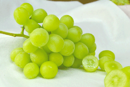 LҰa(chn)ѡShine muscatR˹أYψD