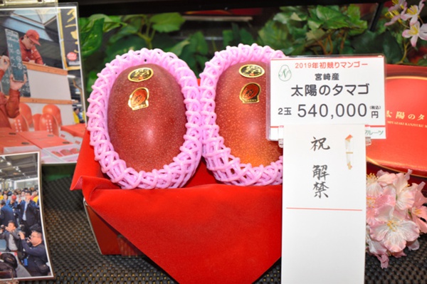 rձmhâ̫֮ӡ2u50fԪDƬԴWվ