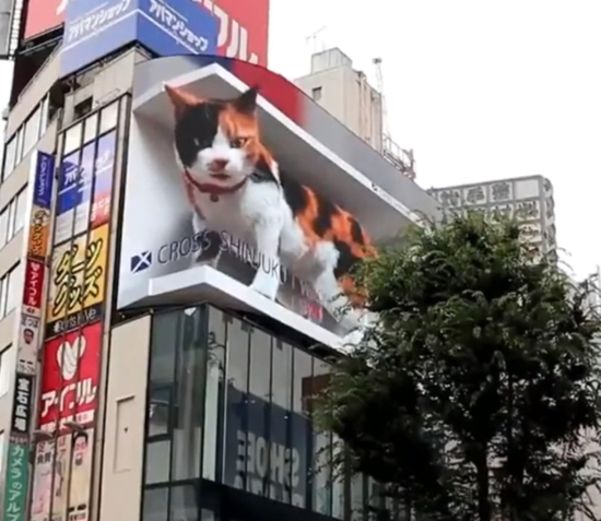DƬԴҕl؈D