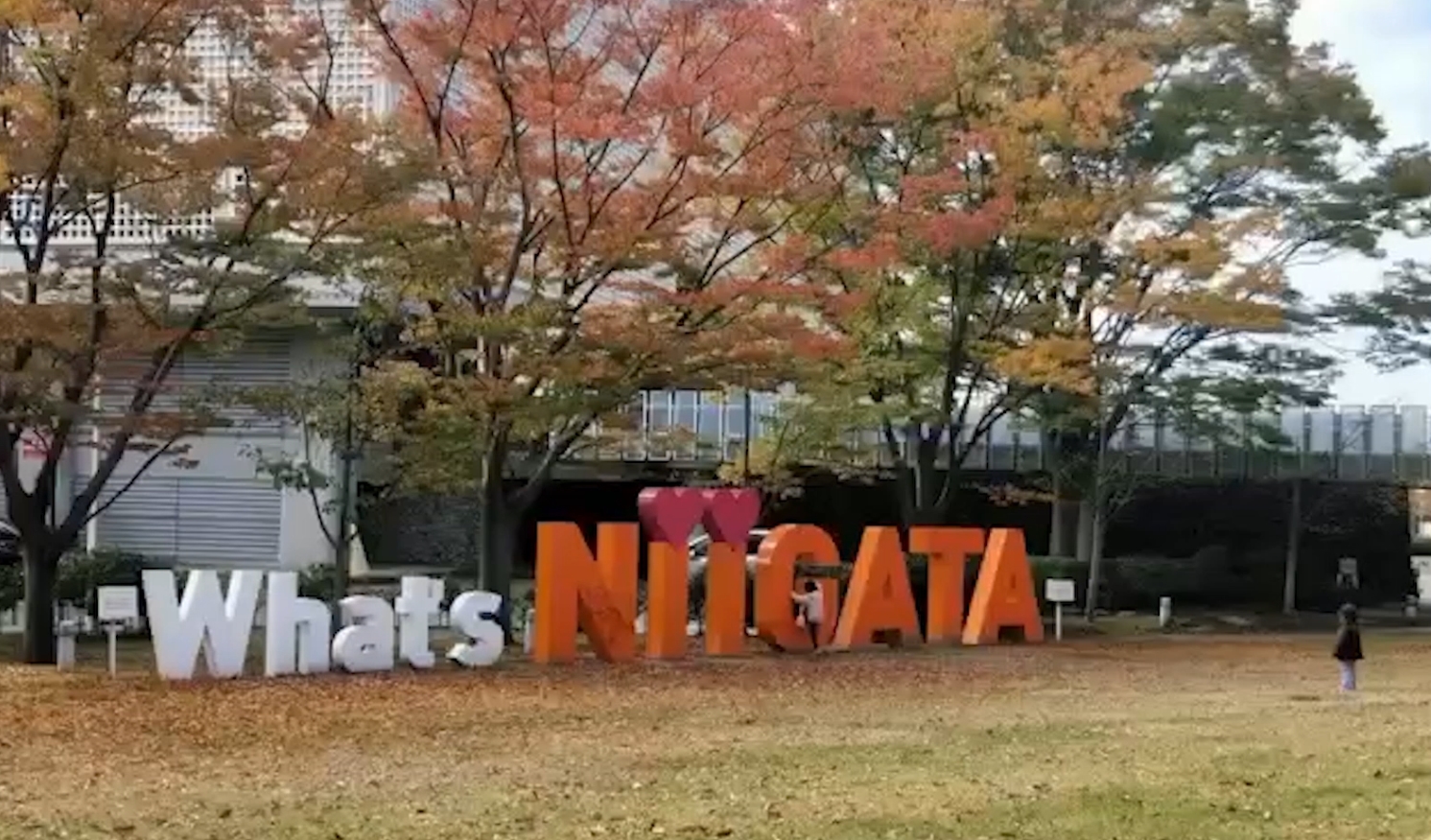 ձh