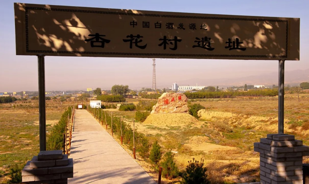 杏花村遺址。馮學(xué)敏供圖