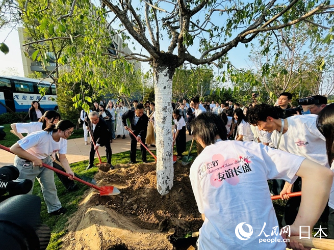 主辦方代表與兩國(guó)青年共同種下友好之樹。人民網(wǎng) 許可攝