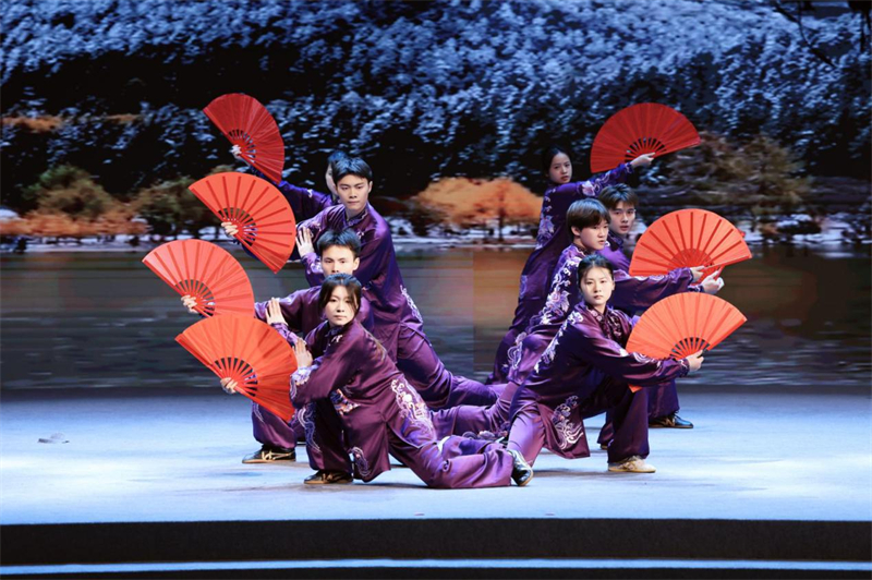 武術(shù)表演（主辦方供圖）