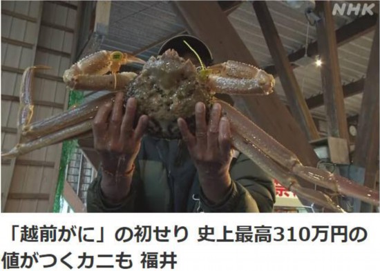 DƬԴձͅf(xi)(NHK)؈D